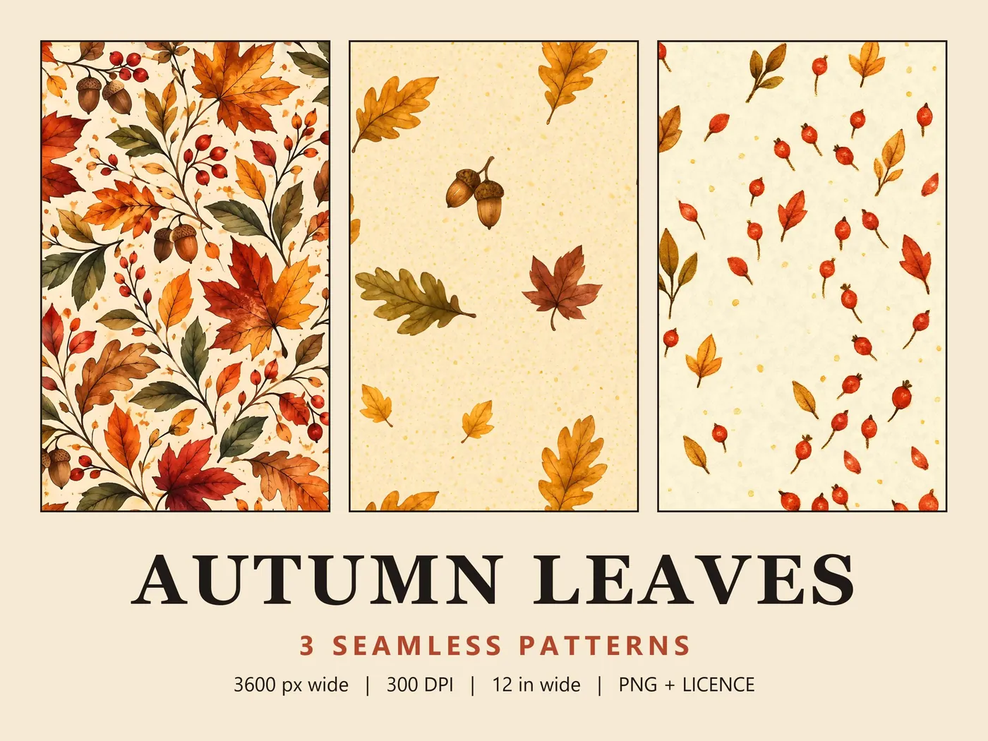 Three panels: dense maple leaves and acorns, sparse oak leaves, and scattered red berries, titled Autumn Leaves
